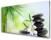 Panel Kuchenny Bambus Łodyga Kwiat Roślina