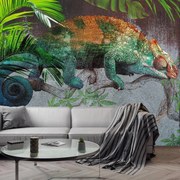 Fototapeta - Kameleon (196x136 cm)