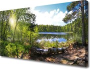 Obraz canvas Jezioro w Objęciach Lasu