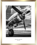 Ramka ścienna w kolorze złota Styler Floryda, 43x53 cm