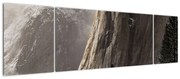 Zdjęcie z Parku Narodowego Yosemite Valley, USA (170x50 cm)