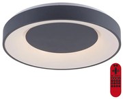 Leuchten Direkt 14346-18 - LED RGB Ściemniana lampa ANIKA LED/26,5W/230V + pilot