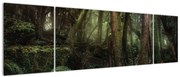 Obraz - Tajemniczy las (170x50 cm)
