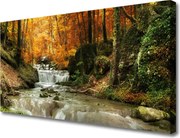 Obraz canvas Ukryty Wodospad w Gęstwinie