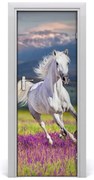 Naklejka samoprzylepna na drzwi Biały koń