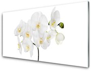 Panel Szklany Storczyk Biały Kwiaty