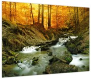 Obraz - Las (70x50 cm)