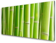 Panel Kuchenny Bambus Łodyga Kwiat Roślina