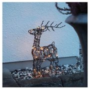 Eglo 411137 - LED Zewnętrzna dekoracja bożonarodzeniowa VIXEN 24xLED/0,06W/3xAA IP44