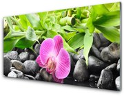 Obraz Akrylowy Kwiaty Orchidea Roślina