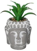 Dekoracja Aloe Buddha 17cm