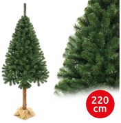Choinka jodłowa na pniu 220 cm