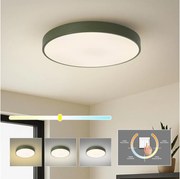 Brilagi - Oprawa sufitowa POOL LED/60W/230V 3000/4000/6000K 50 cm zielona