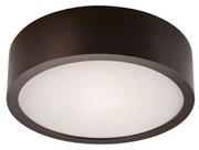 Lampa sufitowa 1xE27/60W/230V