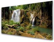 Obraz Akrylowy Wodospad Rzeka Las Natura