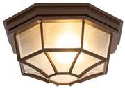 Rustykalna lampa sufitowa rdzawobrązowa 26,5 IP44 - Bri