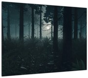 Obraz - Paproć w świetle księżyca (70x50 cm)