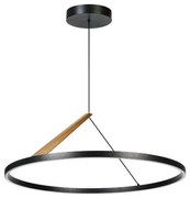 Rabalux 72352 - Lampa wisząca LED na lince RENARA LED/40W/230V 3000K