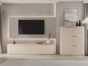 Meble do salonu Frimgo II