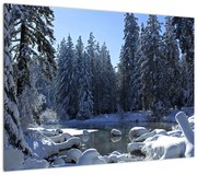 Obraz śnieżnego lasu (70x50 cm)