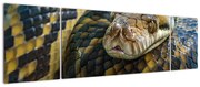 Obraz - Pyton (170x50 cm)
