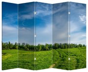 Parawan - Łąka (210x170 cm)