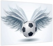 Obraz - Balon ze skrzydłami (70x50 cm)