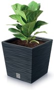 Donica ogrodowa kwadratowa Furu Square Low 29 cm antracyt PROSPERPLAST