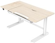 Regulowane dziecięce biurko elektryczne ergonomiczne H6-T56