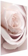 Plakat Porcelanowa róża 60x90 cm bez ramy bez marginesu ARTGEIST B