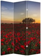 Parawan - Łąka z makami (126x170 cm)