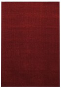 Bordowy dywan 160x230 cm Ata – Ayyildiz Carpets