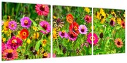 Obraz kwiatów polnych (z zegarem) (90x30 cm)