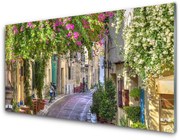 Obraz Akrylowy Alejka Kwiaty Domy Roślina