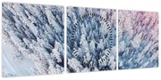 Obraz ośnieżonych drzew (z zegarem) (90x30 cm)