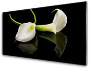 Panel Kuchenny Kwiaty Roślina