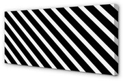 Obraz na płótnie Paski zebra
