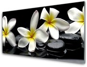 Obraz Akrylowy Piękny Kwiat Plumeria