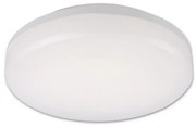 Top Light Leon K - LED Plafon zewnętrzny LED/15W/230V IP44