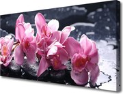 Fotoobraz na płótnie Różowa Orchidea w Detalu