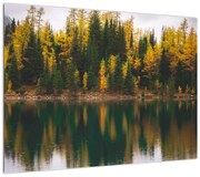 Obraz leśnego jeziora (70x50 cm)