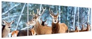 Obraz - Stado jeleni (170x50 cm)