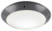 Lampa zewnętrzna ø 26 cm Camaro – Trio