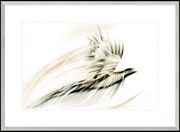 Obraz Bażant, Seria w Chmurach