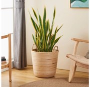 Eglo 426513 - Kosz dekoracyjny NARAHA 41x36 cm beżowy