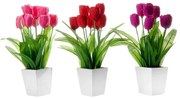 Zestaw 3 kwiatków dekoracyjnych w doniczkach Casa Selección Tulip