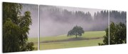 Obraz łąki z drzewem (170x50 cm)