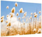 Obraz - Złote pole (70x50 cm)