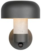 Zewnętrzna lampa ścienna (wysokość 24,5 cm) Fraser – Trio