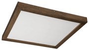 Brilagi-LED 50W WOODY FRAME LED 60x60 cm dąb IP44 ściemnialne + DO